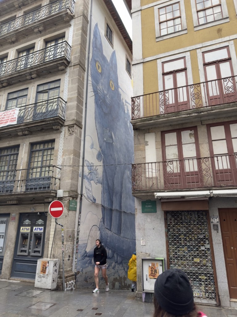 Porto Cat Graffiti